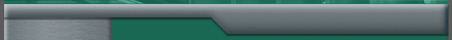 pp%26e_website020002.png