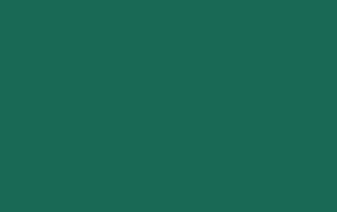 pp%26e_website020005.gif